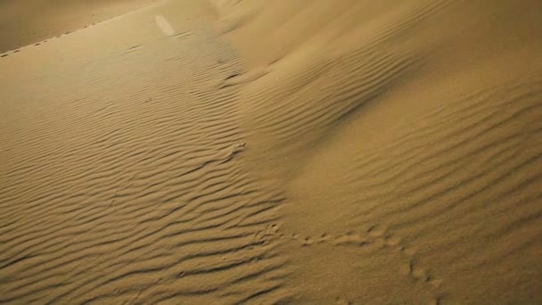 Wüstenlandschaft Sanddünen - Filmmaterial, Video