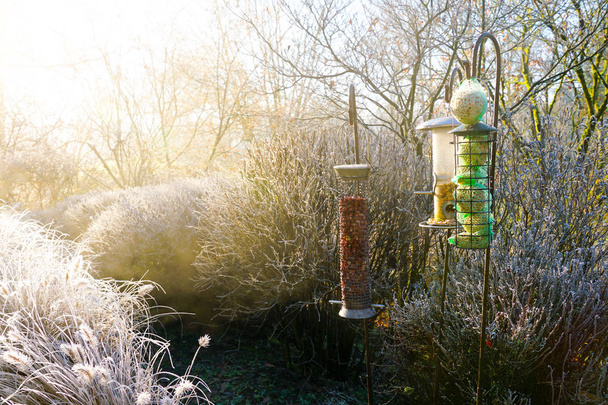 Alimentadores de aves con semillas mixtas en hermoso jardín durante el invierno congelado. Caja de anidación con granos de pienso y cereales para aves durante la temporada de invierno en jardín congelado
 - Foto, imagen