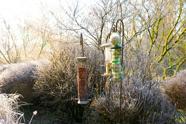 Karmniki dla ptaków z mieszanych nasiona w piękny ogród zimą mrożony. Zagnieżdżanie pudełko z zbóż paszowych i zbóż dla ptaków w sezonie zimowym w mrożone ogród - Zdjęcie, obraz
