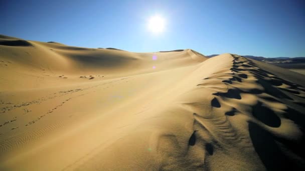 Wüstenlandschaft Sanddünen - Filmmaterial, Video