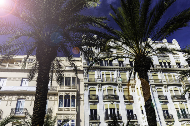 Prachtige palmbomen op de achtergrond van luxe gevels van gebouwen in Alicante, Comunidad Valenciana, Spain - de architectuur van een Europese stad. - Foto, afbeelding