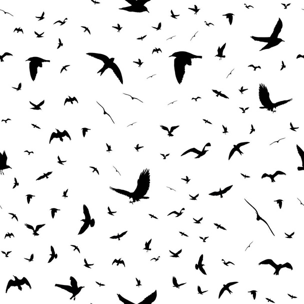 Lentävät linnut siluetit valkoisella taustalla. Eläimet saumaton yksityiskohtainen kuvio. Musta valkoisella pohjalla. Vektoriesimerkki
 - Vektori, kuva