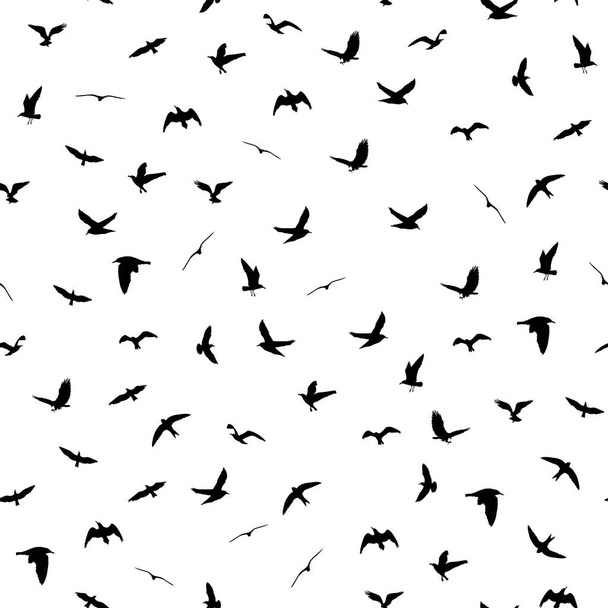 Silhouettes d'oiseaux volants sur fond blanc. Animaux modèle détaillé sans couture. Noir sur fond blanc. Illustration vectorielle
 - Vecteur, image