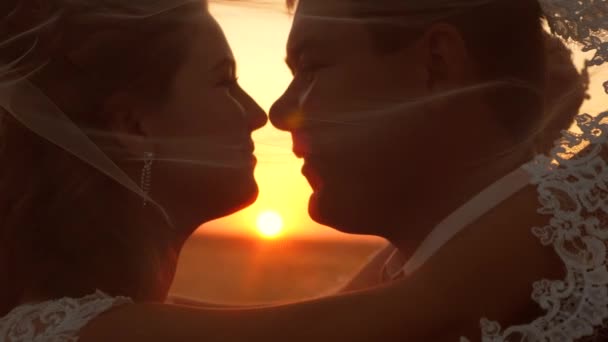Bride and groom rub noses and hug at sunset. Gentle looks in evenings between lovers of men and women and smiles. Close-up. - Footage, Video