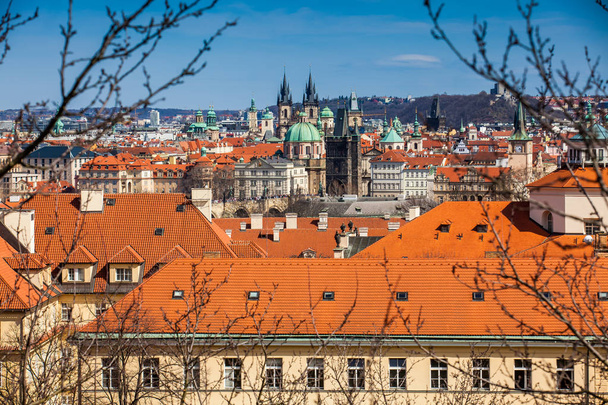 Most Karola i Praga miasto stare miasto było wzgórze Petrin dziennie piękne wczesną wiosną - Zdjęcie, obraz