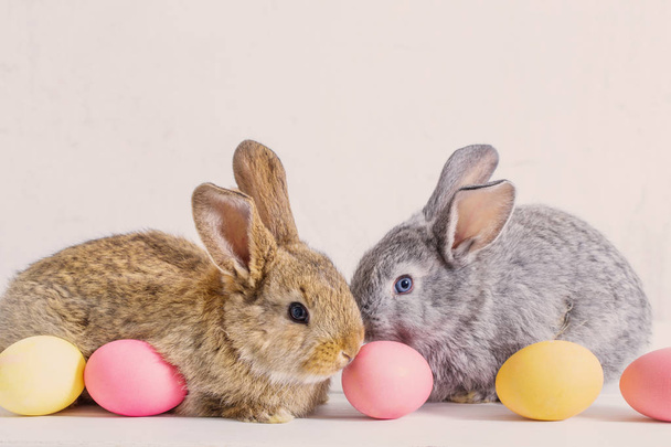 bunnyes with easter eggs on white background - Fotó, kép