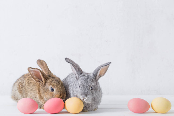 bunnyes s velikonoční vejce na bílém pozadí - Fotografie, Obrázek