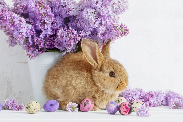 Easter rabbit with lilac in vase on white background - Fotó, kép