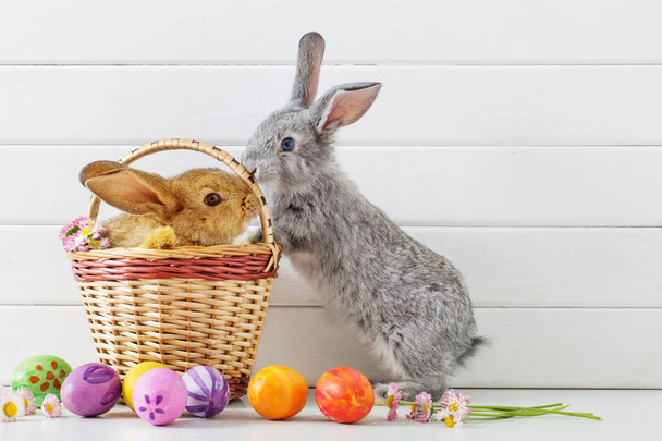 Easter bunny with eggs on white background - Foto, afbeelding
