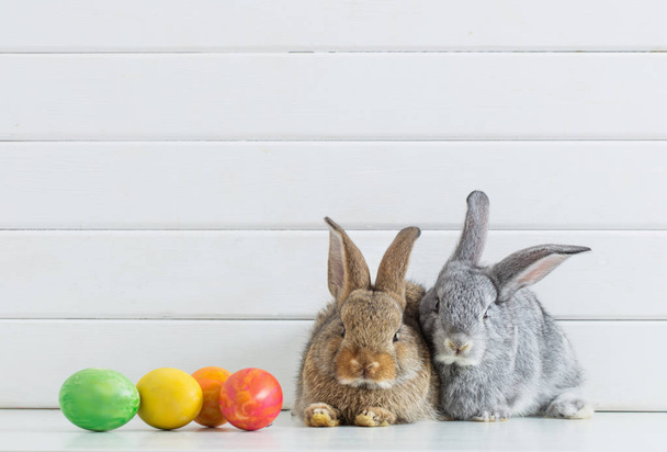 Easter bunny with eggs on white background - Valokuva, kuva