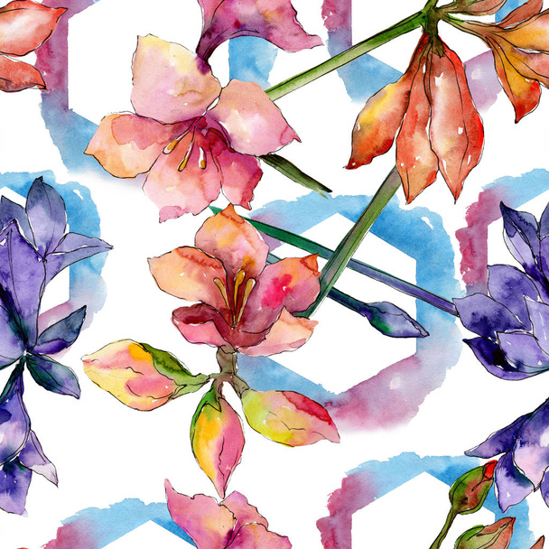 Amarylis różowy i fioletowy kwiat kwiatowy botanicznych. Zestaw ilustracji tle akwarela. Bezszwowe tło wzór. - Zdjęcie, obraz