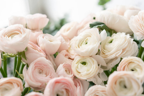 Taza de mantequilla persa en jarrones de vidrio. Ramo de flores ranúnculo rosa pálido fondo claro. Fondo de pantalla. Temporada de invierno flores
 - Foto, imagen