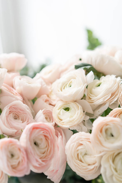 Buttercup persa em vasos de vidro. Bunch rosa pálido flores ranúnculo luz fundo. Papel de parede. Flores de estação de inverno
 - Foto, Imagem