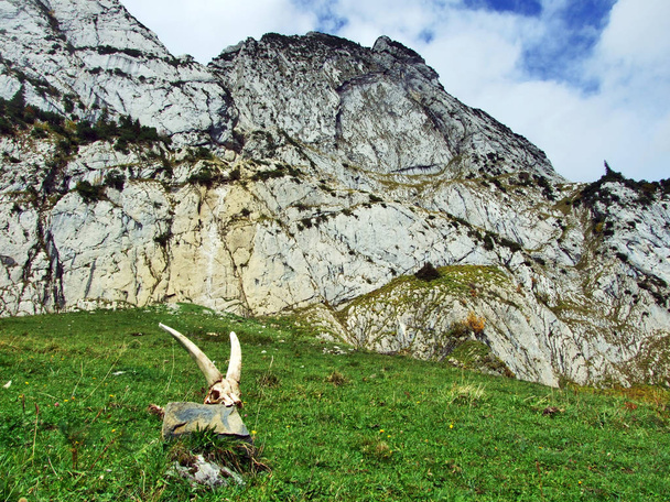 Kivet ja kalliot vuoren ylängöllä Alpstein - Canton of St. Gallen, Sveitsi
 - Valokuva, kuva