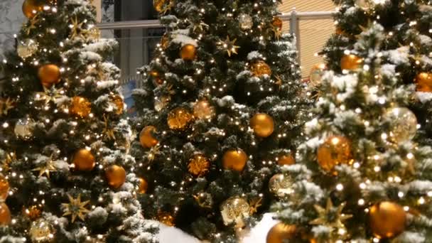 Tres árboles de Navidad bellamente decorados con grandes bolas de oro y plata, estrellas, guirnaldas y nieve artificial están de pie en el centro comercial
 - Metraje, vídeo