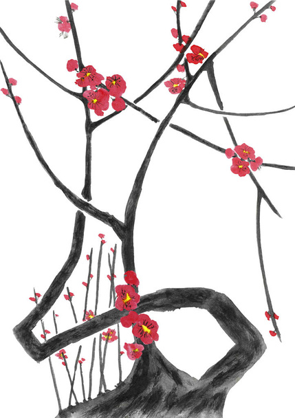 A branch of a blossoming sakura. Pink and red stylized flowers of plum mei, wild apricots and cherry . Watercolor and ink illustration of tree in style sumi-e, u-sin. Oriental traditional painting.  Isolated - Foto, Bild