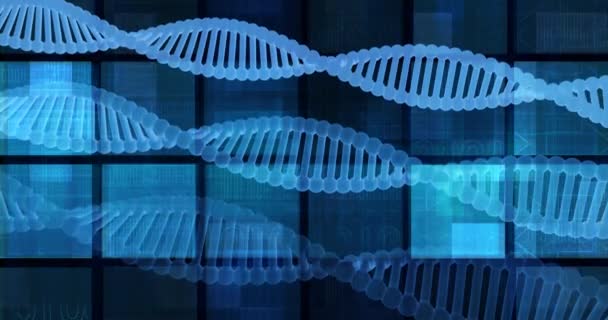 Looping Bioscience or Biology Science as Biological Concept - Footage, Video