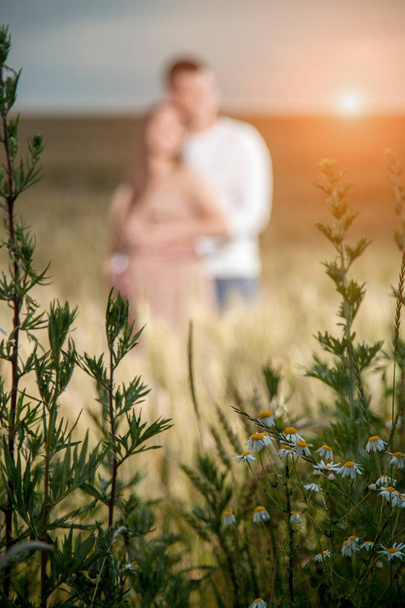 jeunes parents dans la soirée sur un champ de blé
 - Photo, image