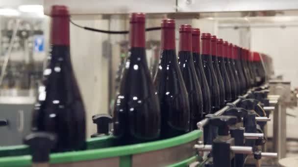 Rode wijn flessen op een transportband in een wijn bottelen fabriek. - Video