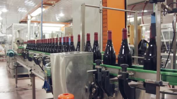 Botellas de vino tinto en una cinta transportadora en una fábrica de embotellado de vino
. - Metraje, vídeo