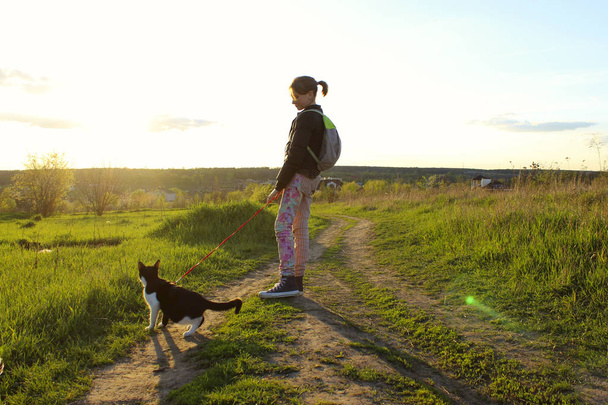 Smokinli kedisiyle yürüyen genç bir kız. Sahibi ve Evcil Hayvanı. Çocuklar, Hayvanlar, Hayvanlar, Seyahat Konsepti. - Fotoğraf, Görsel