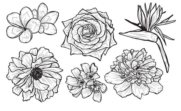 Decorative  flowers set, design elements. Can be used for cards, invitations, banners, posters, print design. Floral background in line art style - Vetor, Imagem
