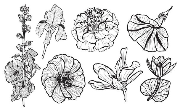 Decorative  flowers set, design elements. Can be used for cards, invitations, banners, posters, print design. Floral background in line art style - Vettoriali, immagini