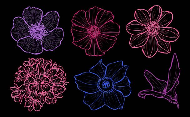 Decorative  flowers set, design elements. Can be used for cards, invitations, banners, posters, print design. Floral background in line art style - Διάνυσμα, εικόνα