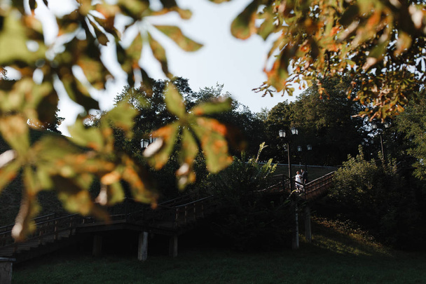 Morsiuspari kävelee portaita alas puistossa
. - Valokuva, kuva
