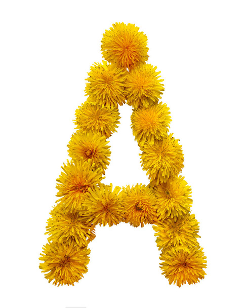 The letter of the English alphabet is collected from the flowers of yellow chamomile. Isolated on white background. - Photo, Image