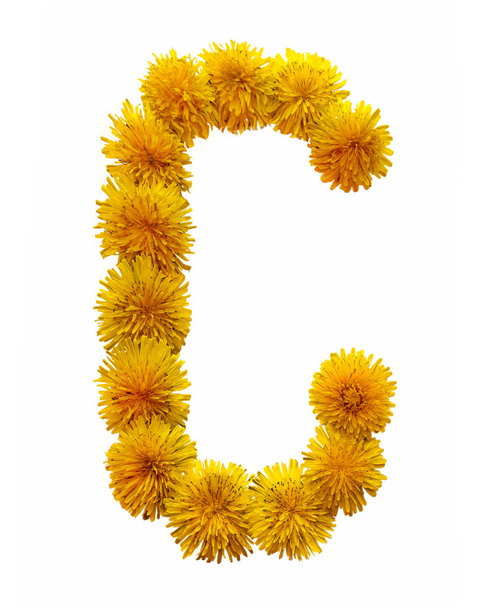 Букви англійського алфавіту зібрані з квітів жовтого ромашки. Ізольовані на білому тлі. - Фото, зображення