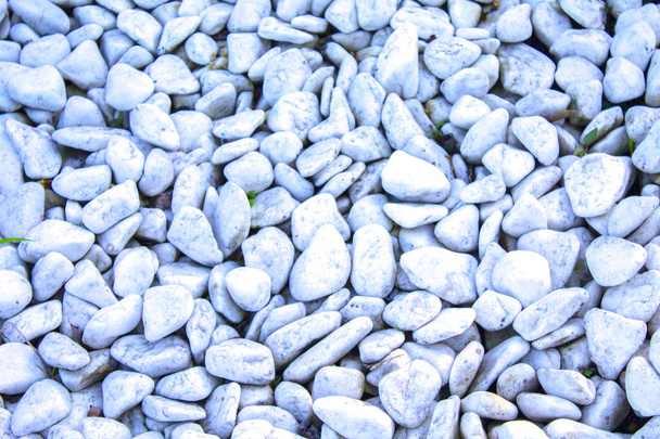 seixos brancos pedra fundo textura
 - Foto, Imagem