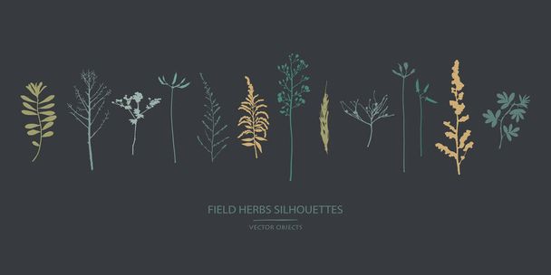 Colección de siluetas vectoriales. Conjunto de flores de campo, hierbas
. - Vector, Imagen