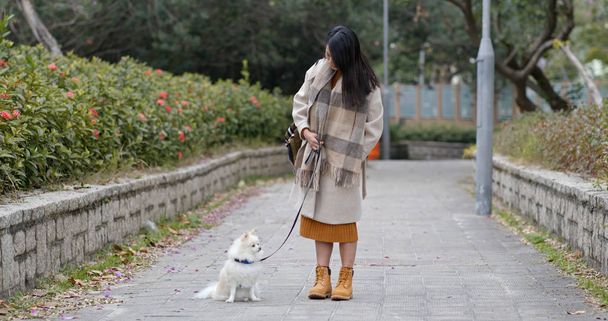 Mulher sair com seu cão da Pomerânia
 - Foto, Imagem