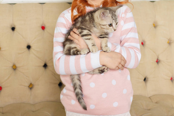 girl holding a striped kitten on the background of a beige sofa - Photo, Image