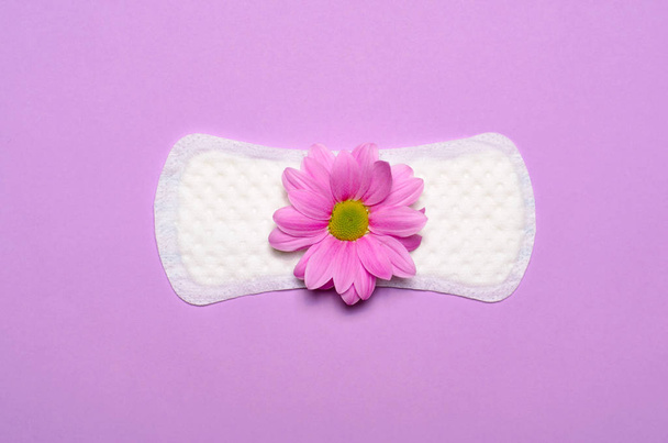 Woman's Sanitary Pad and Gerbera Daisy Flower on Pink Background, Feminine Hygiene Concept - Foto, afbeelding