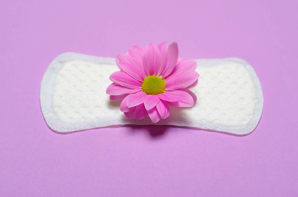 Woman's Sanitary Pad and Gerbera Daisy Flower on Pink Background, Feminine Hygiene Concept - Foto, afbeelding