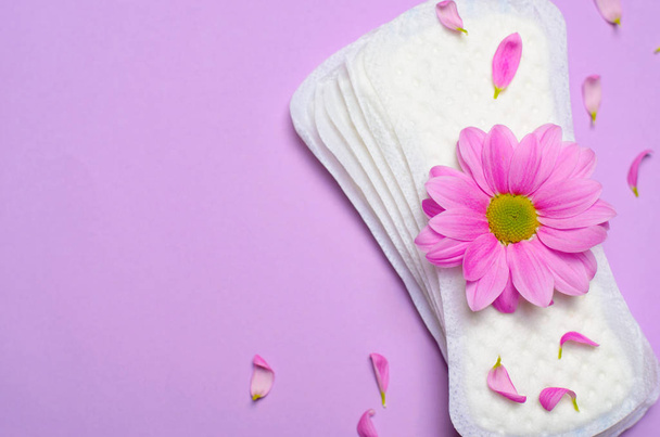 Woman's Sanitary Pads and Gerbera Daisy Flower on Pink Background, Feminine Hygiene Concept - Photo, Image