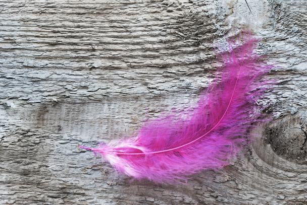 pink feather on wooden board - Photo, Image