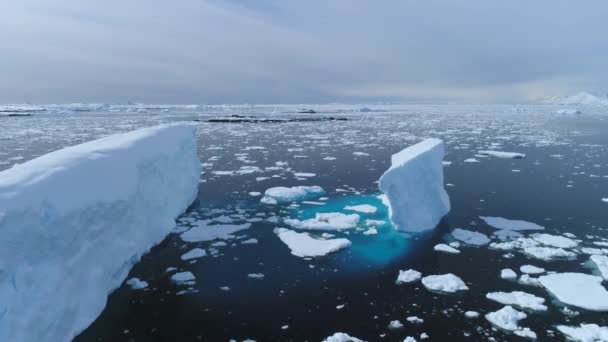 Antarctica iecberg float oceaan gletscher luchtfoto - Video