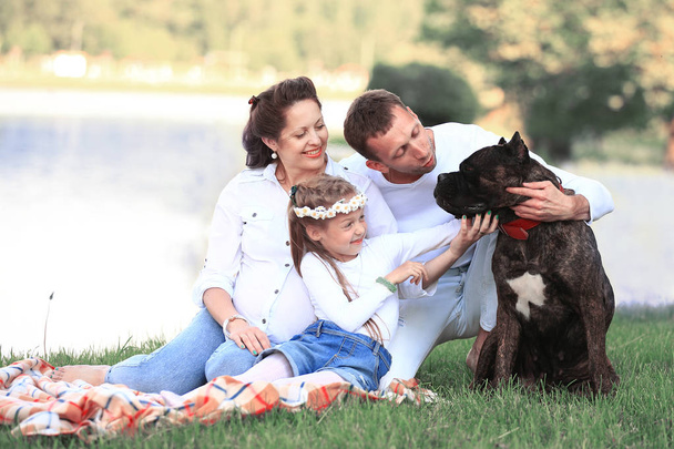 happy family with pet dog at picnic in a Sunny summer day. pregn - Foto, Imagen