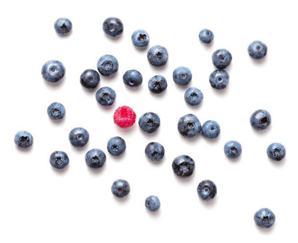 blueberry fruits isolated  - Photo, Image