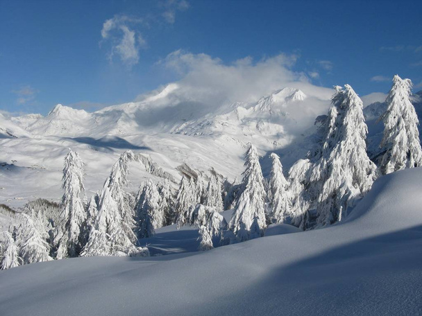 Verzauberte Landschaft nach starkem Schneefall - Foto, Bild