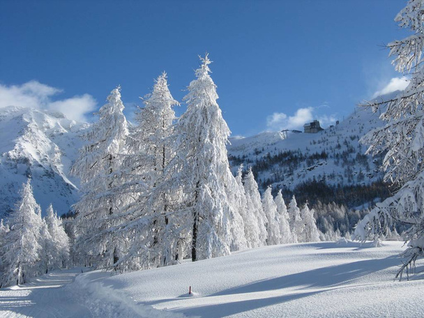 yoğun kar yağışı sonra büyülü manzara - Fotoğraf, Görsel