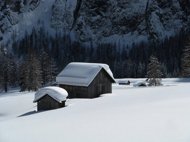 paisaje encantado después de fuertes nevadas
 - Foto, imagen