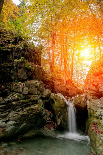 водопад речной воды в лесу осенью
 - Фото, изображение