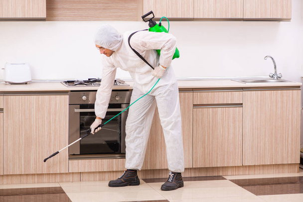 Professional contractor doing pest control at kitchen - Photo, Image