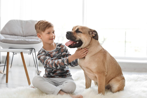 Cute little child with his dog at home - Foto, Imagen