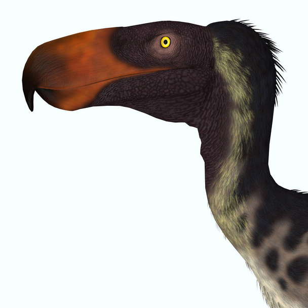 Kelenken volt egy húsevő Terror madár, amely a miocén korban élt Argentínában. - Fotó, kép