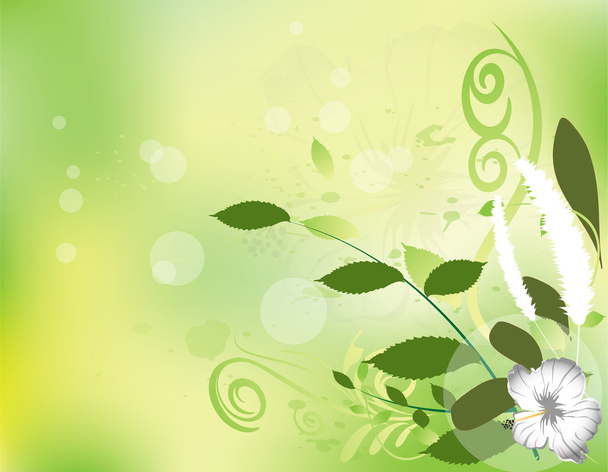 abstract background with flowers - Vector, Imagen